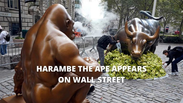 Statue of harambe the ape appears on wall street